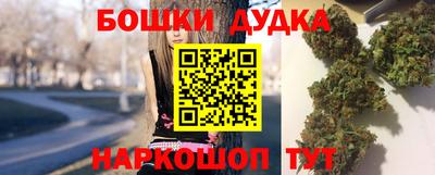 МДПВ Будённовск