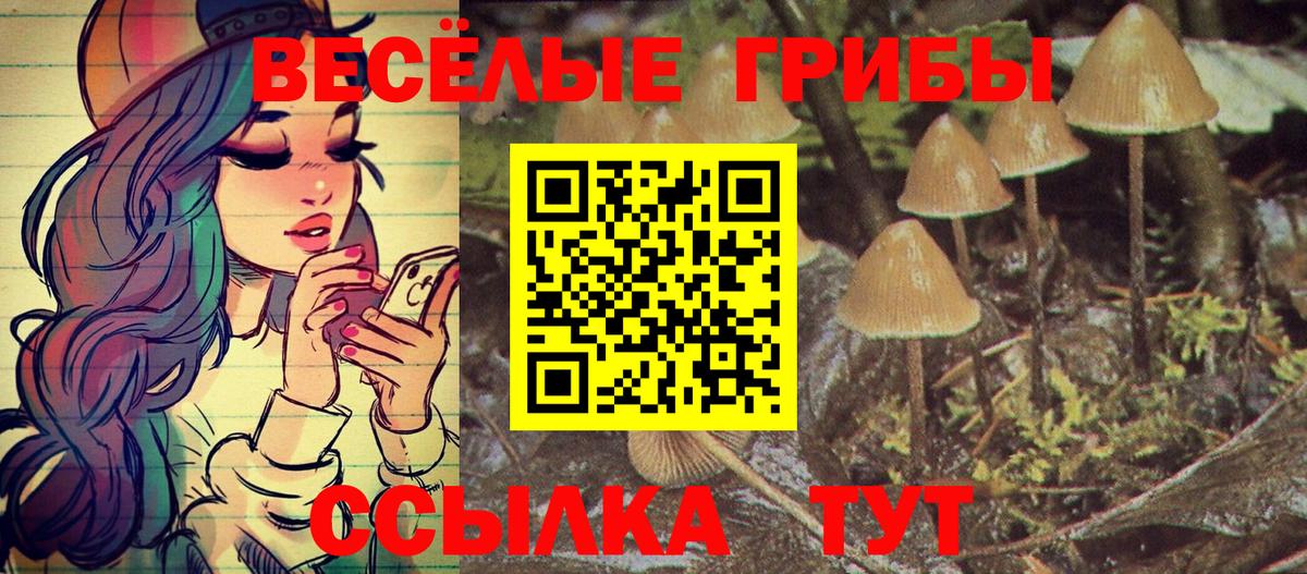 Красноярск  хочу наркоту  Псилоцибиновые грибы Psilocybine cubensis  Вход с VPN  Псилоцибиновые грибы Psilocybine cubensis 